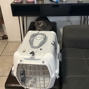 Stylish White and Gray Cat Carrier